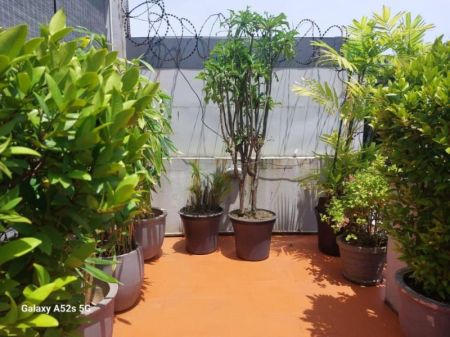 Exterior - Annex for rent in Colombo 8 