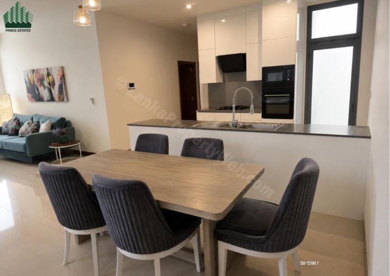 Dining room - Apartment for rent in Colombo 7