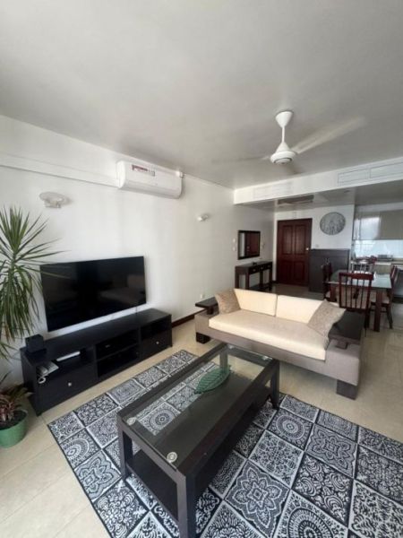 Living Room - 2BR  luxury Apartment for Rent 