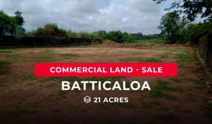 Bare Land