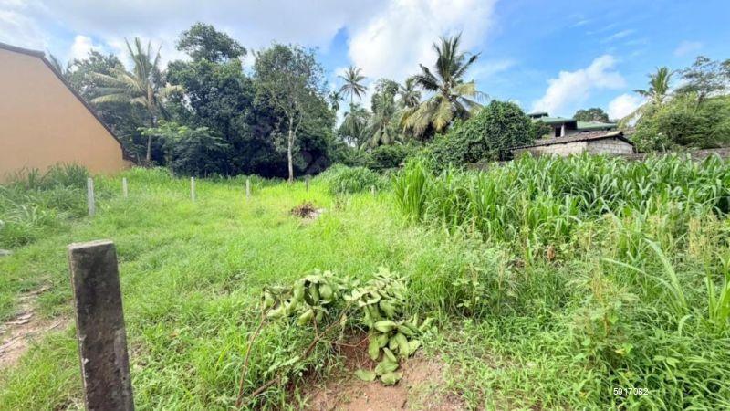 Bare Land for sale in Thalawathugoda