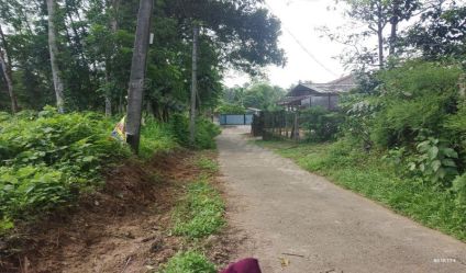 Bare Land