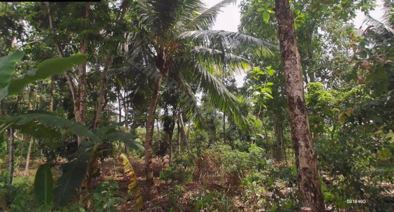 Bare Land for sale in Godagama