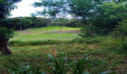 Bare Land