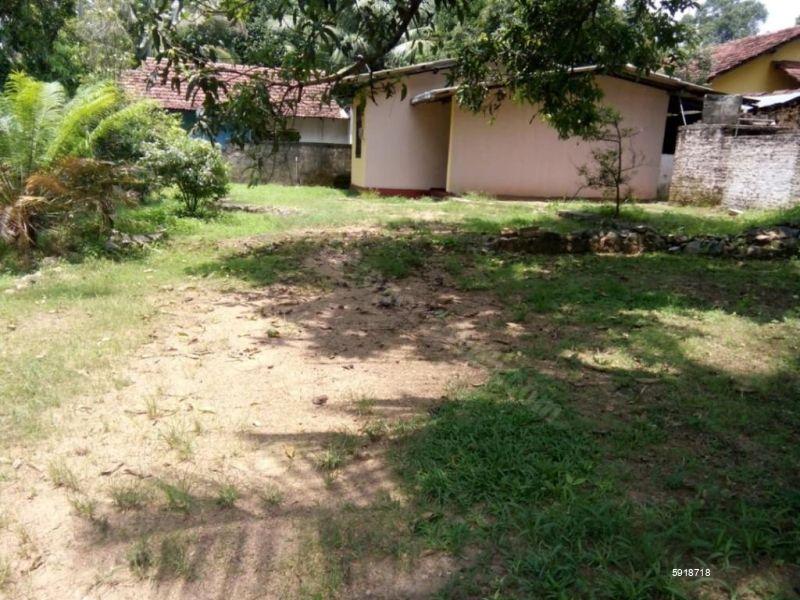 Exterior - House for sale in Dambadeniya