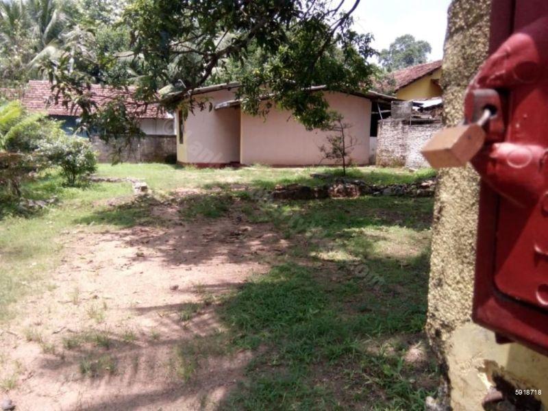 Exterior - House for sale in Dambadeniya