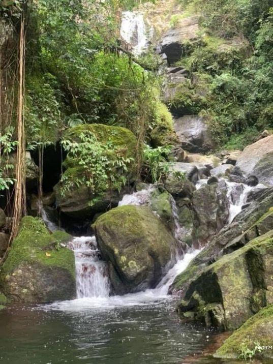 Cultivated Land for sale in Nuwara Eliya