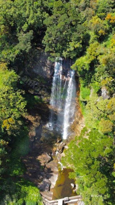 Cultivated Land for sale in Nuwara Eliya