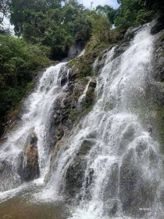 Cultivated Land for sale in Nuwara Eliya