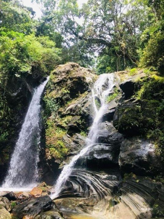 Cultivated Land for sale in Nuwara Eliya