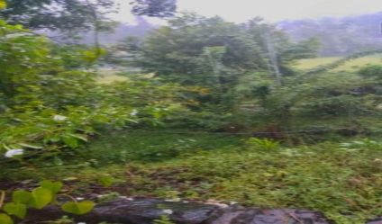 Land with house