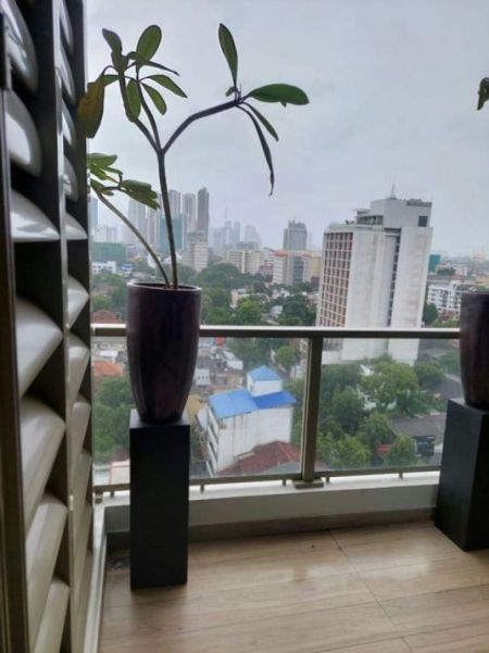 Living Room - The Grand - 02 Bedroom Furnished Apartment for Rent in Colombo 07 (A2849)-RENTED