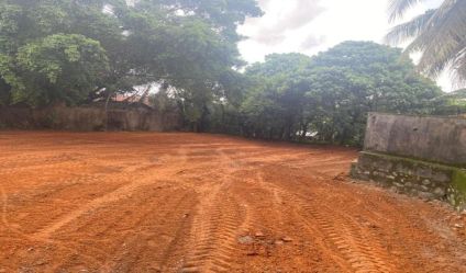 Bare Land