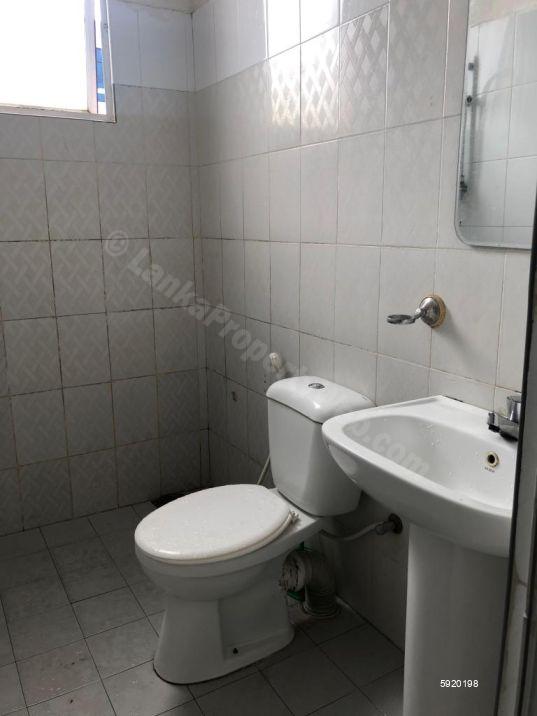 Bathroom - Apartment for rent in Colombo 6