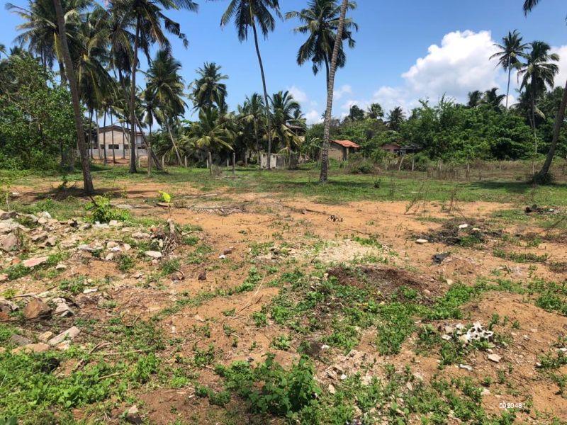 Beachfront land for sale in Galle