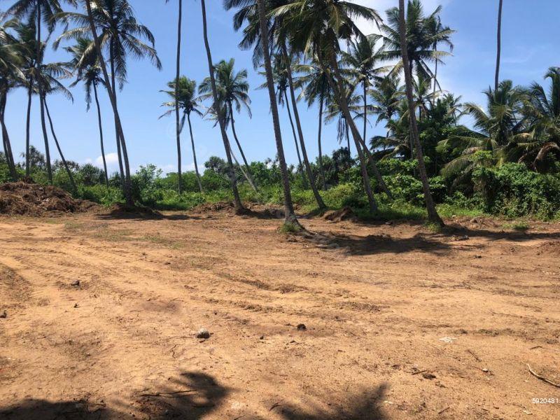 Beachfront land for sale in Galle