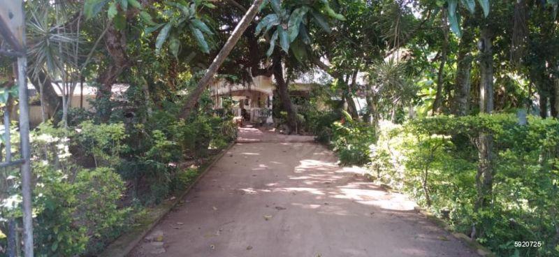 House for sale in Kochchikade