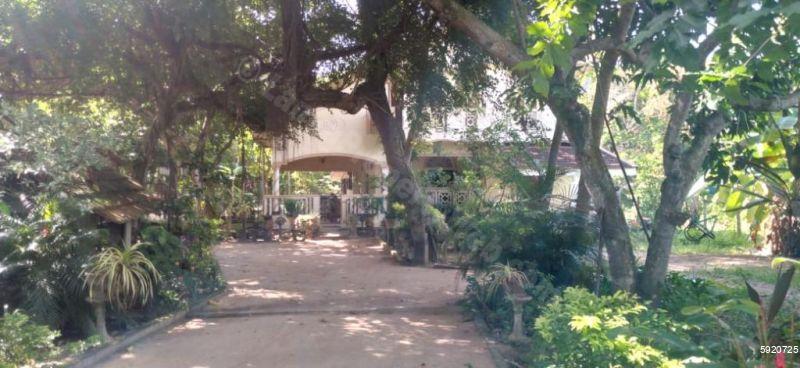 House for sale in Kochchikade