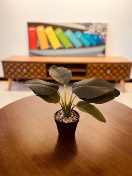 Living Room - Trizen Furnished Apartment for Rent - A53558