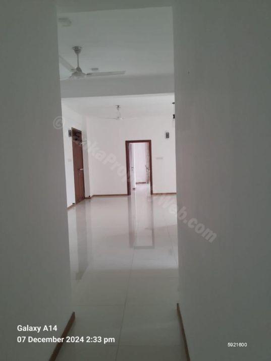 Apartment for rent in Colombo 5