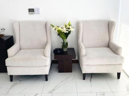 Living Room - Ultra-Luxury Architect-Designed House for Sale in Rajagiriya
