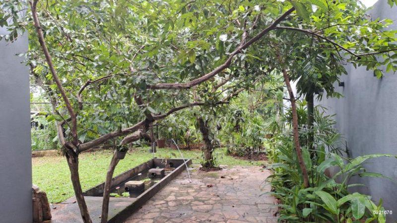 House for rent in Boralesgamuwa