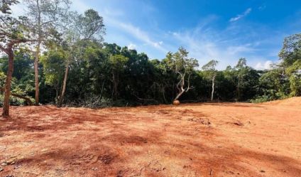 Bare Land