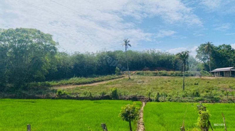Land with house for sale in Tangalle