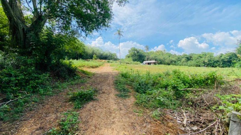 Land with house for sale in Tangalle