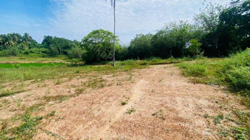 Land with house for sale in Tangalle