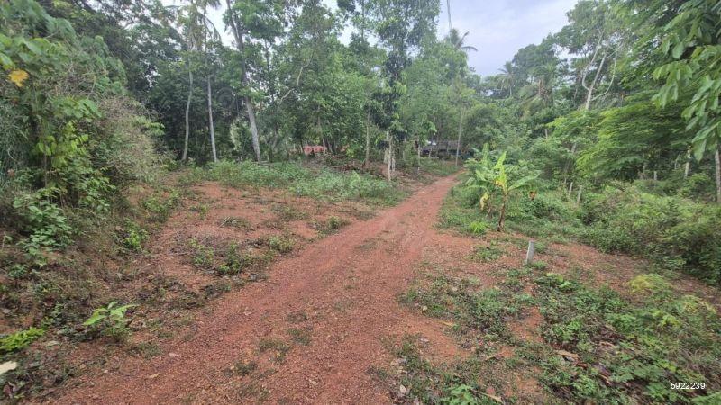 Bare Land for sale in Minuwangoda
