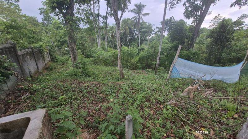 Bare Land for sale in Minuwangoda