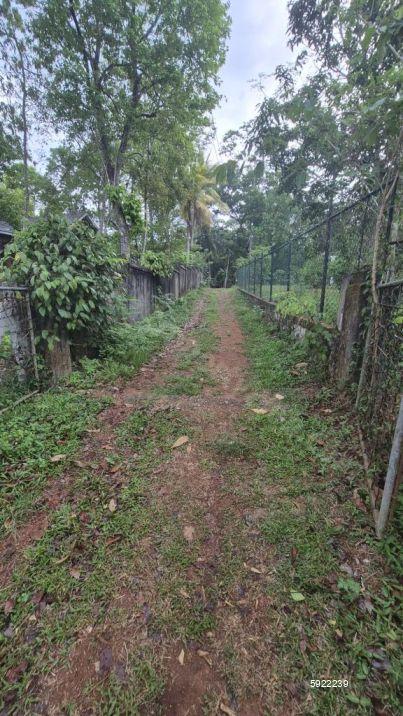 Bare Land for sale in Minuwangoda