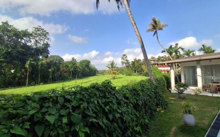 Exterior - Paddy Feild Facing Architect Designed House for Sale in Pannipitiya.
