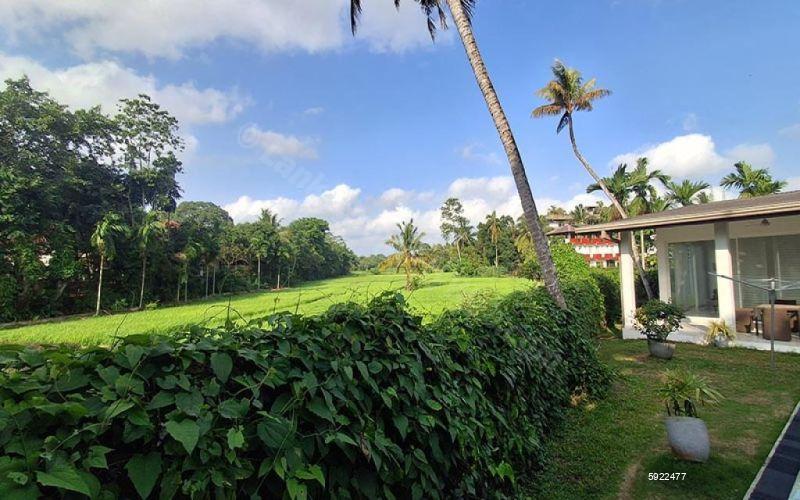Exterior - House for sale in Pannipitiya
