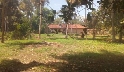 Land with house