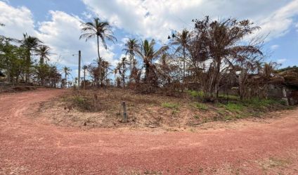 Bare Land
