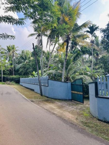 Exterior - Spacious Two Story House for Sale in Buthpitiya for 30 million (total)