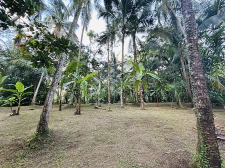 Exterior - Spacious Two Story House for Sale in Buthpitiya for 30 million (total)