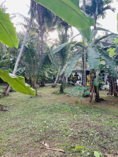 Exterior - Spacious Two Story House for Sale in Buthpitiya for 30 million (total)