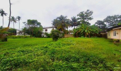 Bare Land
