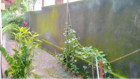 Exterior - House for Sale in Meegoda (SSPH-413)