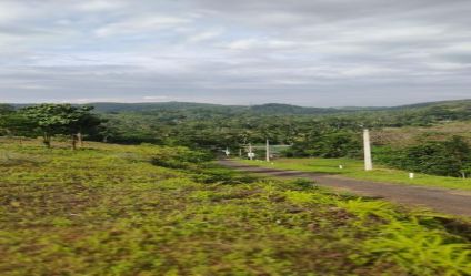 Bare Land