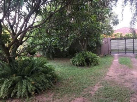 Exterior - (PR933) Single Storey House for Rent in Maharagama