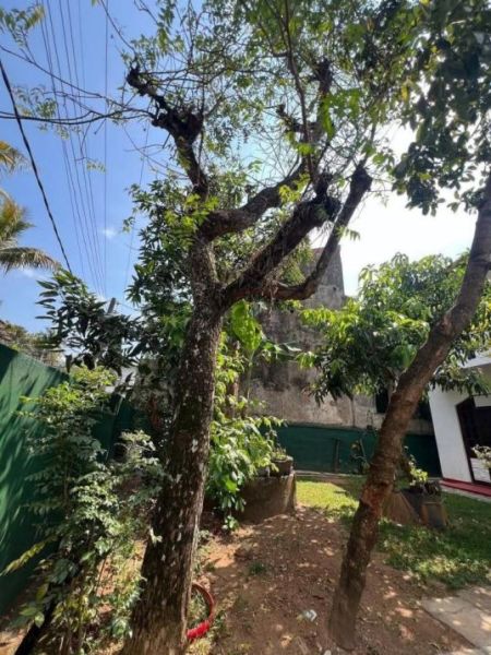 Exterior - 4 Bedroom Two Storied House for Sale - Maharagama, Gammana Road | LKR 63 Million (Negotiable) (EM880)
