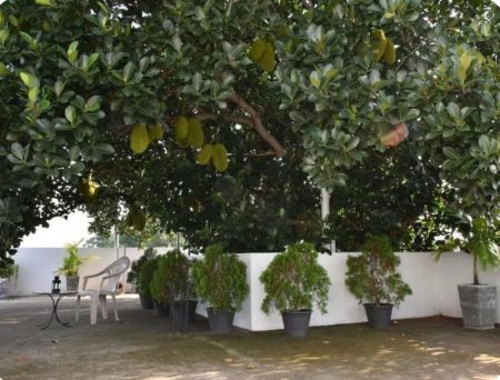 Exterior - Apartment Complex for sale in Colombo 5 