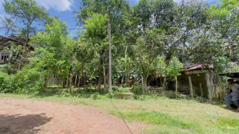 Bare Land for sale in Kalagedihena