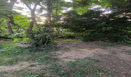 Land with house
