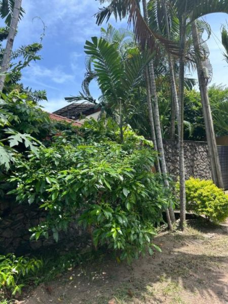 Exterior - FOR Rent | Colombo 5 | 5-Bedrooms |  Luxury House