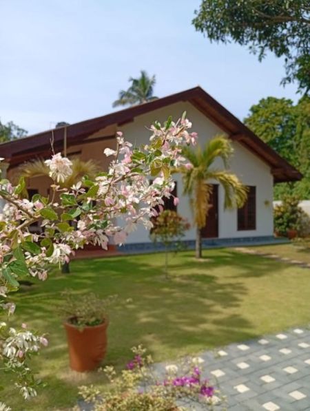 Exterior - Twin Villas for Sale In Beruwala